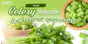 เซเลอรี่ Celery “ ขึ้นฉ่ายฝรั่ง ” ช่วยขับถ่าย !! ดูแลระบบลำไส้