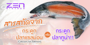 สารสกัดจากกระดูกปลาแซลม่อน (Calcium for Salmon) หรือ กระดูกปลาทูน่า !!